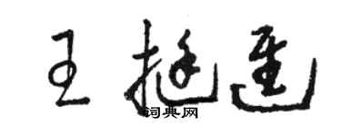 骆恒光王挺进草书个性签名怎么写