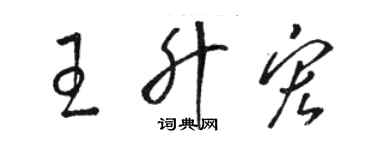 骆恒光王升宏草书个性签名怎么写