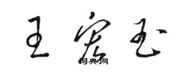 骆恒光王宏玉草书个性签名怎么写