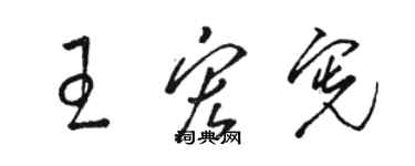 骆恒光王宏宪草书个性签名怎么写