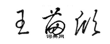 骆恒光王苗欣草书个性签名怎么写