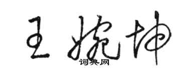 骆恒光王婉坤草书个性签名怎么写