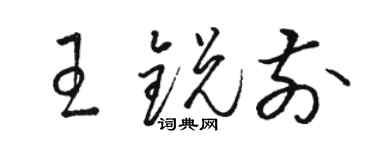 骆恒光王锐前草书个性签名怎么写