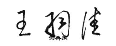 骆恒光王羽佳草书个性签名怎么写
