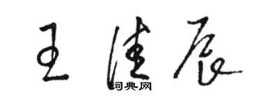 骆恒光王佳辰草书个性签名怎么写