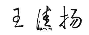 骆恒光王佳扬草书个性签名怎么写
