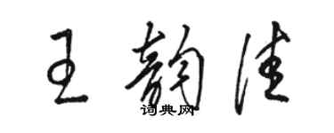 骆恒光王韵佳草书个性签名怎么写