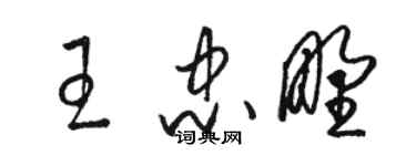 骆恒光王忠野草书个性签名怎么写