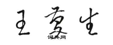 骆恒光王庆生草书个性签名怎么写