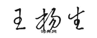 骆恒光王杨生草书个性签名怎么写