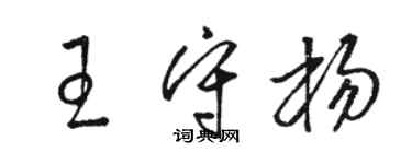 骆恒光王守杨草书个性签名怎么写