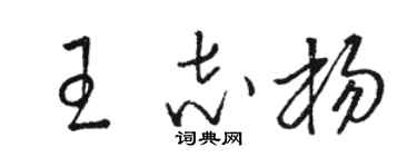 骆恒光王志杨草书个性签名怎么写