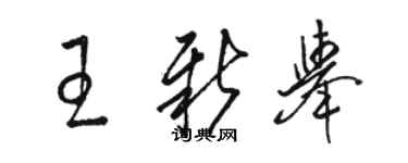 骆恒光王新举草书个性签名怎么写