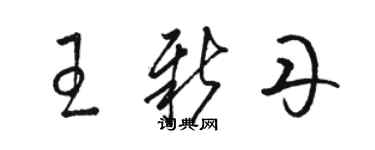 骆恒光王新丹草书个性签名怎么写