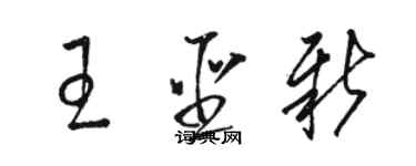 骆恒光王圣新草书个性签名怎么写