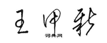 骆恒光王甲新草书个性签名怎么写