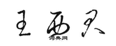 骆恒光王西君草书个性签名怎么写