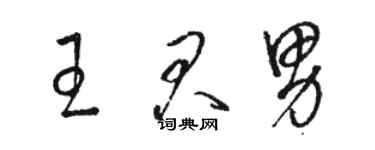 骆恒光王君男草书个性签名怎么写