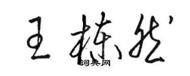 骆恒光王栋然草书个性签名怎么写