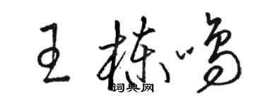 骆恒光王栋鸣草书个性签名怎么写