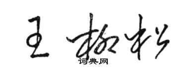 骆恒光王柳松草书个性签名怎么写