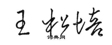 骆恒光王松培草书个性签名怎么写