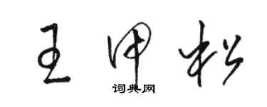 骆恒光王甲松草书个性签名怎么写