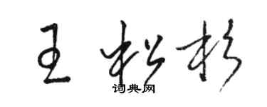 骆恒光王松杉草书个性签名怎么写