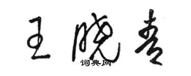 骆恒光王晓青草书个性签名怎么写