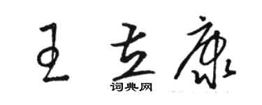 骆恒光王立康草书个性签名怎么写