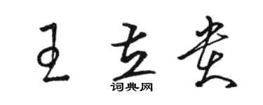 骆恒光王立贵草书个性签名怎么写