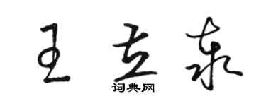 骆恒光王立泰草书个性签名怎么写