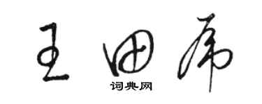 骆恒光王田虎草书个性签名怎么写