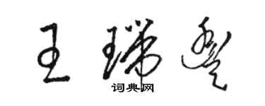 骆恒光王瑞丰草书个性签名怎么写