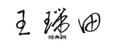 骆恒光王瑞田草书个性签名怎么写
