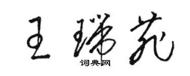 骆恒光王瑞菲草书个性签名怎么写