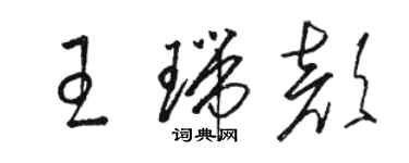 骆恒光王瑞颜草书个性签名怎么写