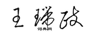 骆恒光王瑞政草书个性签名怎么写