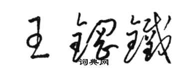 骆恒光王钢铁草书个性签名怎么写