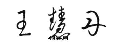 骆恒光王慧丹草书个性签名怎么写
