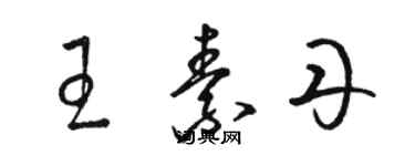 骆恒光王素丹草书个性签名怎么写