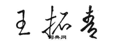 骆恒光王拓青草书个性签名怎么写