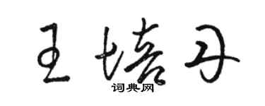 骆恒光王培丹草书个性签名怎么写