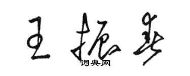 骆恒光王振春草书个性签名怎么写