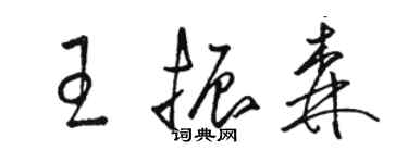 骆恒光王振森草书个性签名怎么写