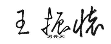 骆恒光王振怀草书个性签名怎么写