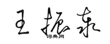 骆恒光王振泰草书个性签名怎么写