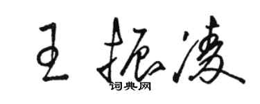 骆恒光王振凌草书个性签名怎么写