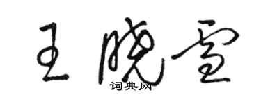 骆恒光王晓雪草书个性签名怎么写