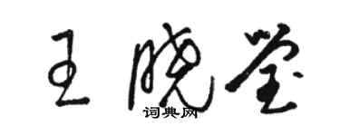 骆恒光王晓莹草书个性签名怎么写
